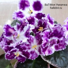 ВаТ-Моя Умничка (Валькова)